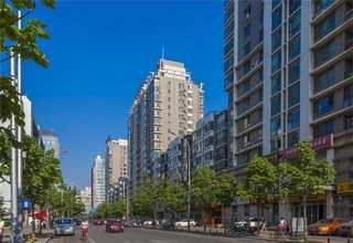 广东冷季型草坪报价单