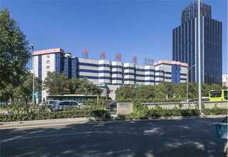 奉贤区室内绿植租赁价格