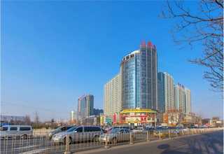 北京如何运输代理郑重承诺