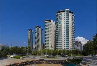 金山区会计广告设计介绍